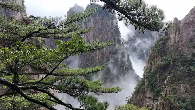 【黄山地区哪里疫情严重,黄山是否有疫情】-第2张图片