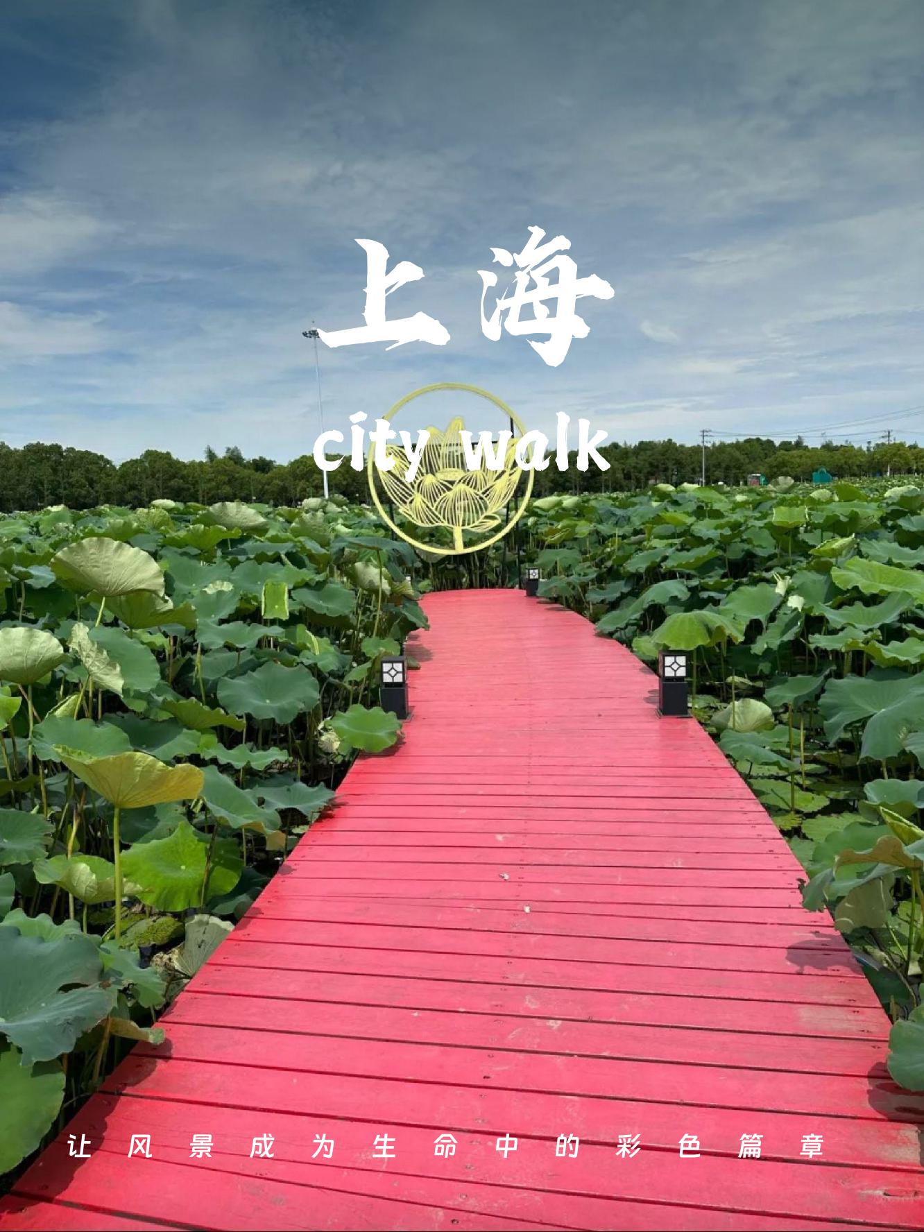 【上海一日游最佳景点免费,上海一日游最佳路线最节约钱的】-第1张图片