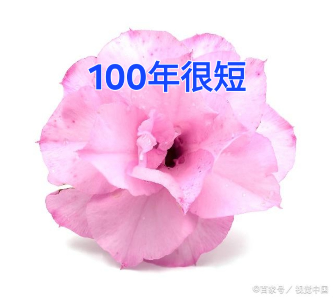 人死后会离开地球吗/人死了会去下一个世界吗-第2张图片