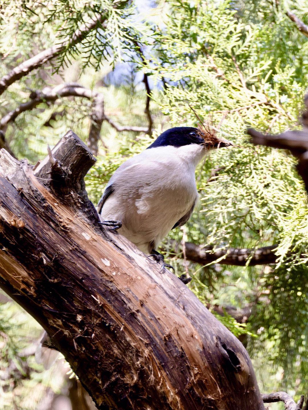 【北京市内一日游/北京市内一日游攻略】-第1张图片