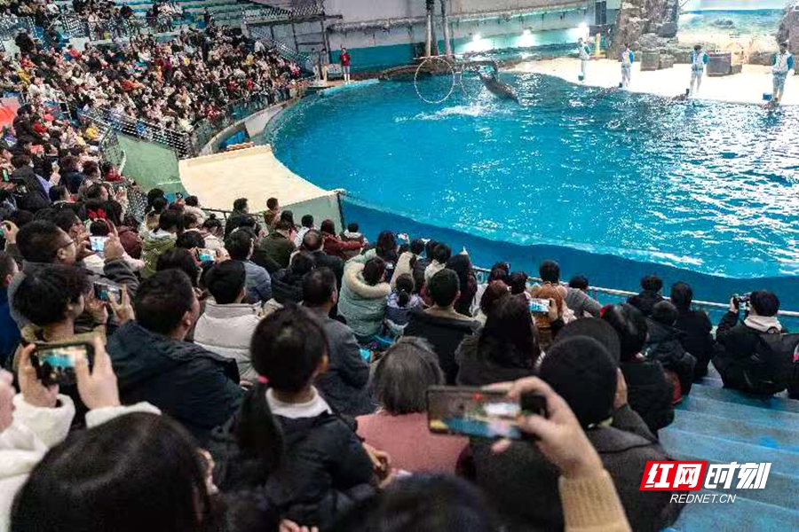 长沙海底世界值得去吗-长沙海底世界要预约吗-第1张图片