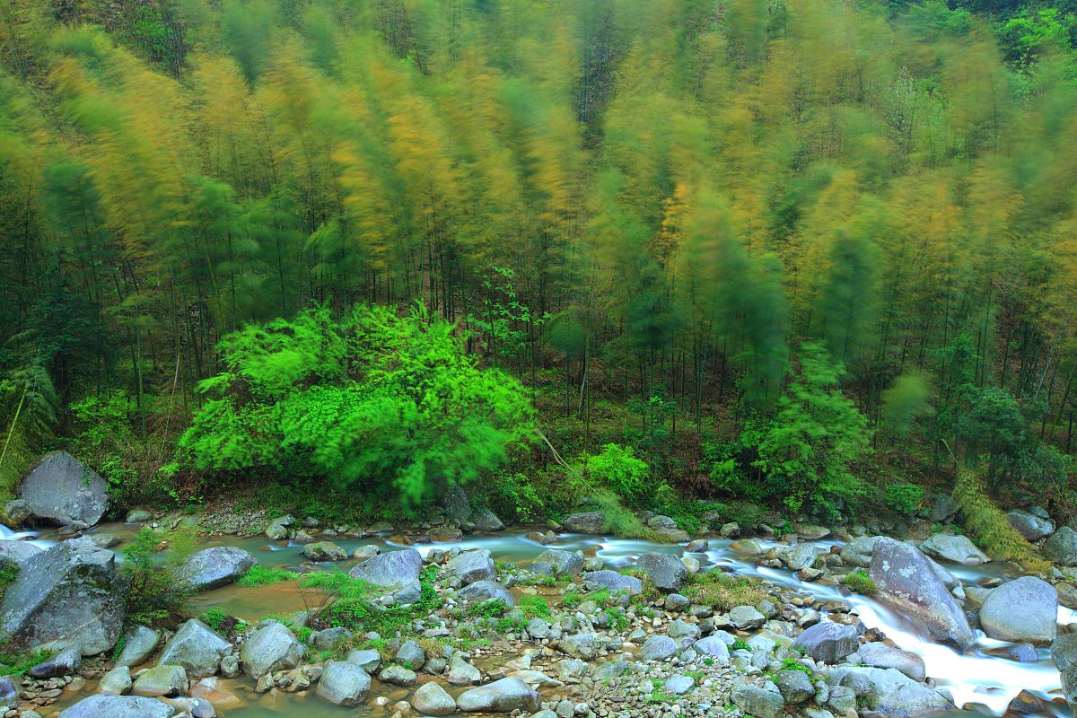 “蜀南竹海一日游攻略	” 蜀南竹海一日游最佳路线？-第1张图片