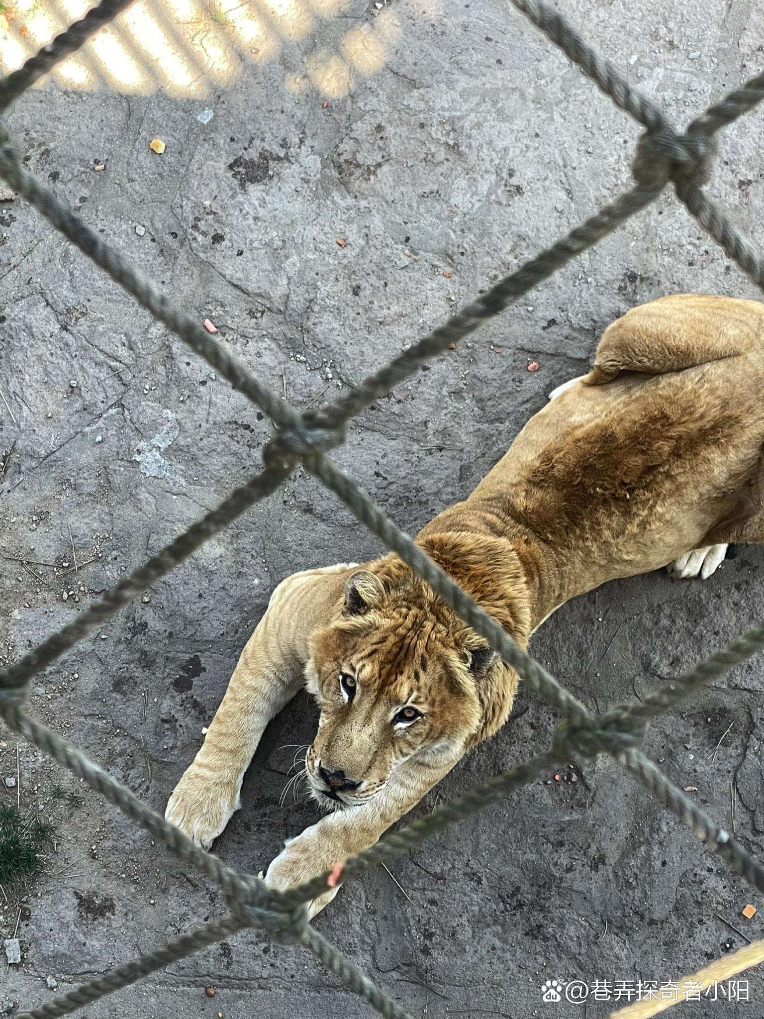 “威海有什么好玩的地方” 威海有什么景点值得玩？-第2张图片