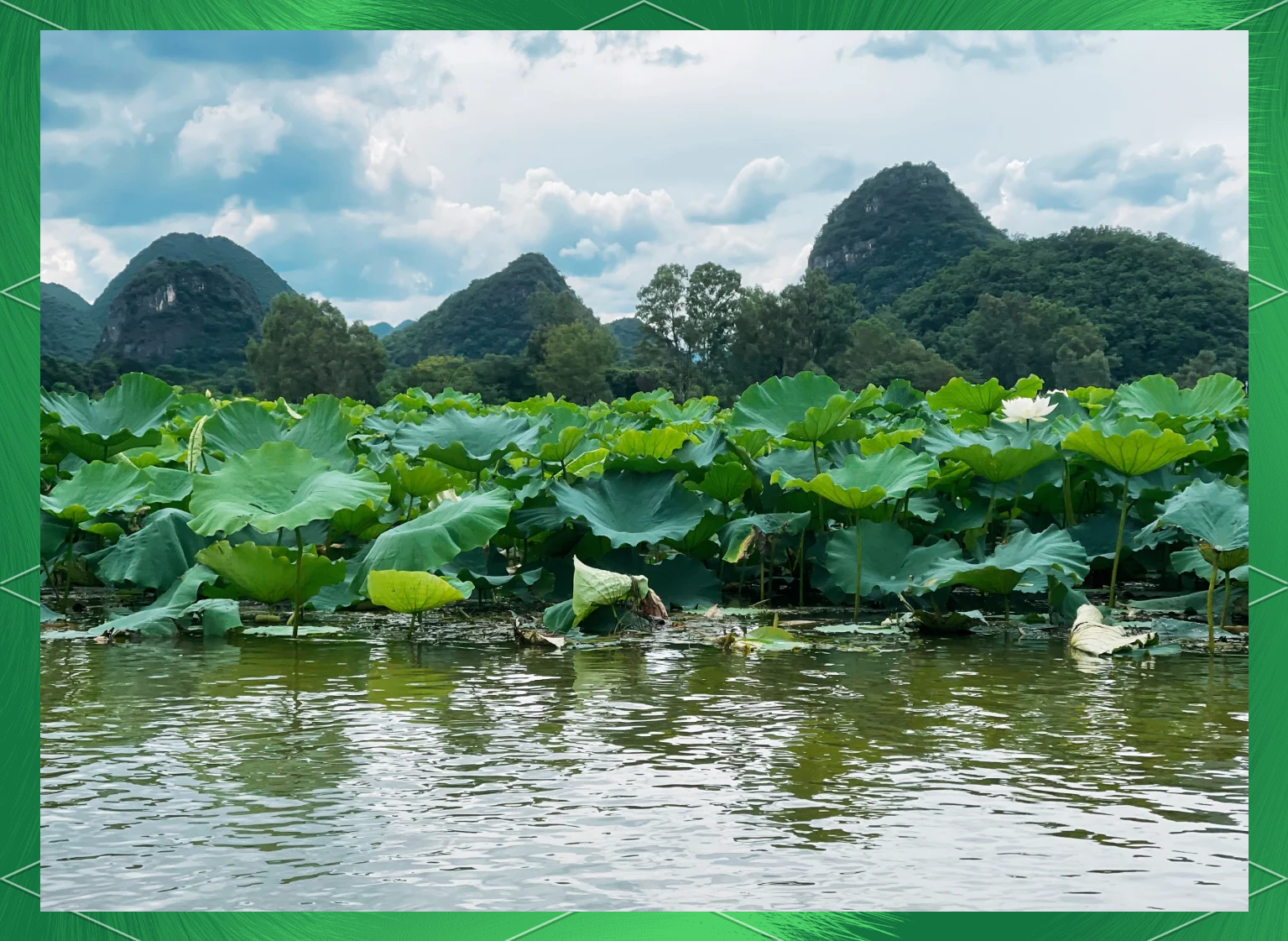 “普者黑最佳旅游时间	” 普者黑最佳旅游时间是几月份？-第1张图片
