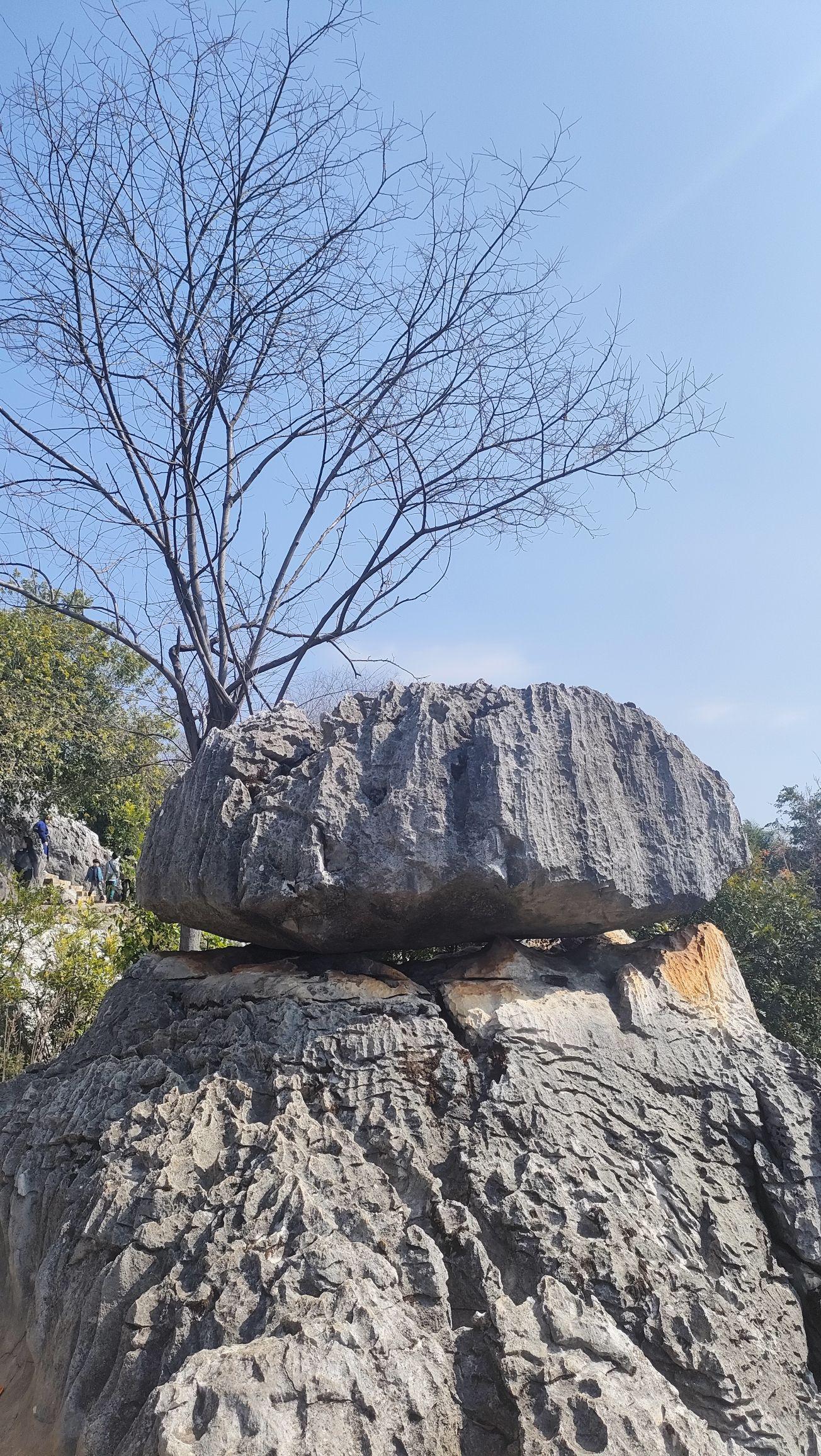 “昆明石林风景区	” 昆明石林风景区图片？-第2张图片