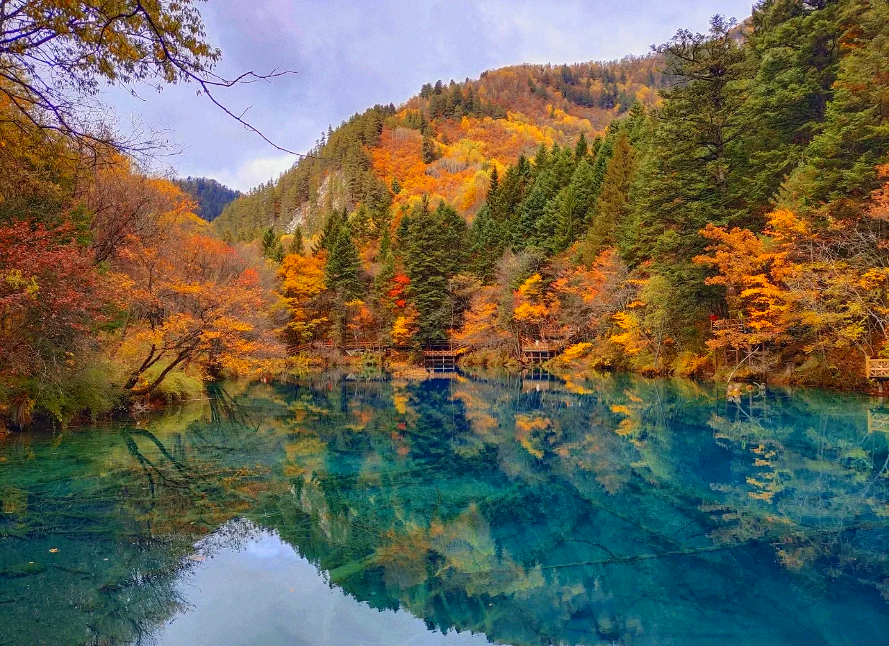 “四川九寨沟旅游攻略自由行攻略	” 四川九寨沟旅游攻略自由行攻略图片？-第1张图片