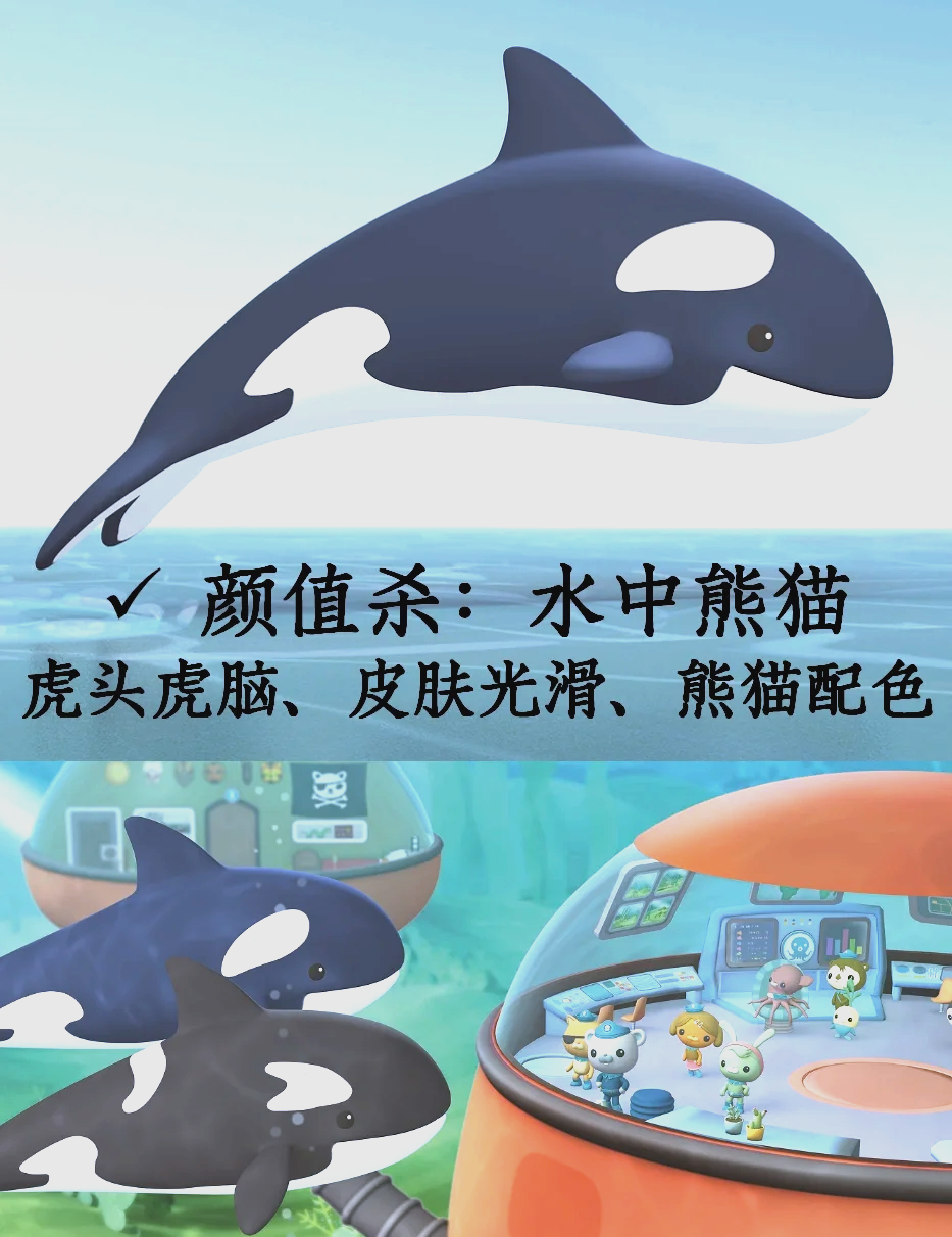 “伪虎鲸vs虎鲸” 伪虎鲸vs虎鲸哪个厉害？-第1张图片