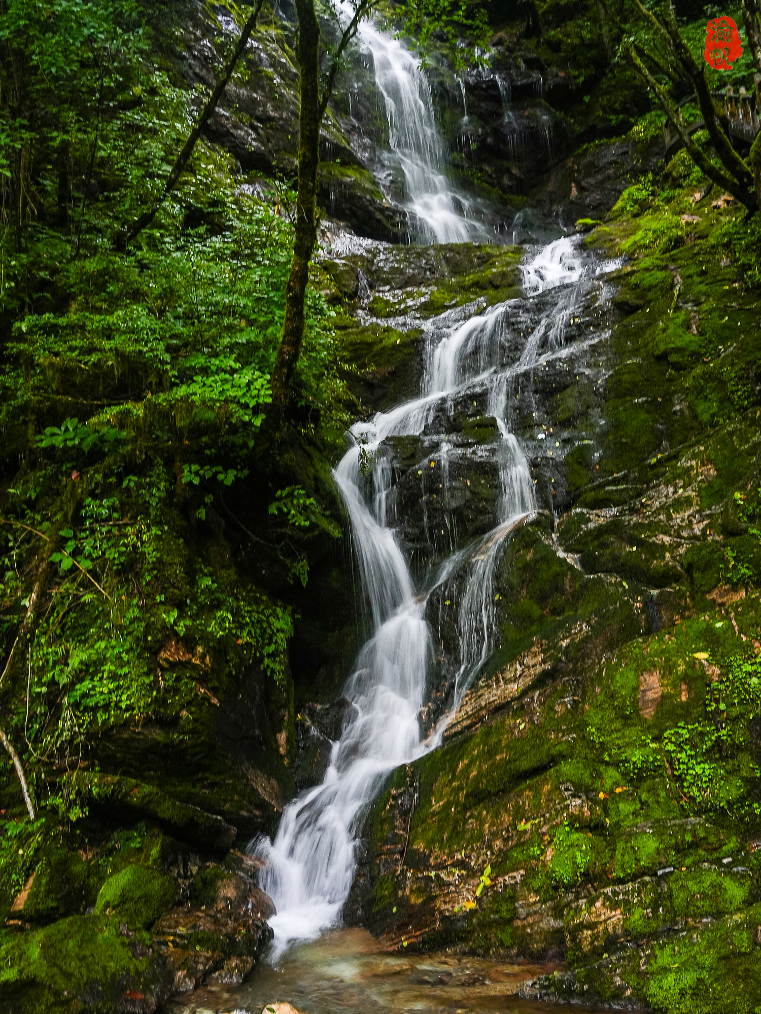 神农架必去5个景点神农架必去5个景点图片-第1张图片
