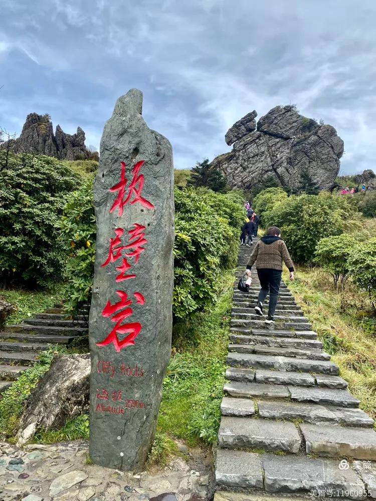 神农架必去5个景点神农架必去5个景点图片-第2张图片