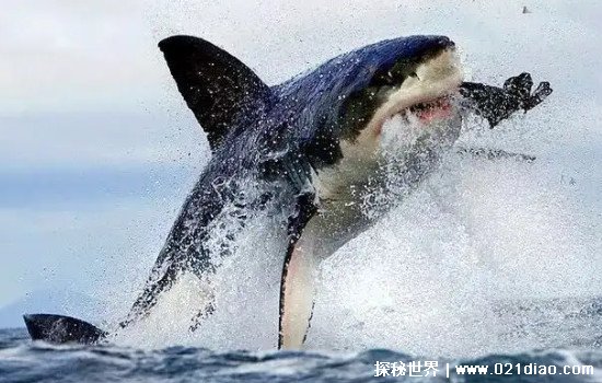 【世界奇闻异事真实事件/世界奇闻异事1000例】-第2张图片